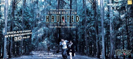 Haunted - 3D (2011)