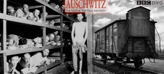 Auschwitz The Nazis and the Final Solution 2