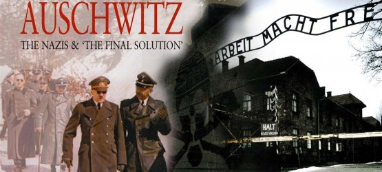 Auschwitz The Nazis and the Final Solution1