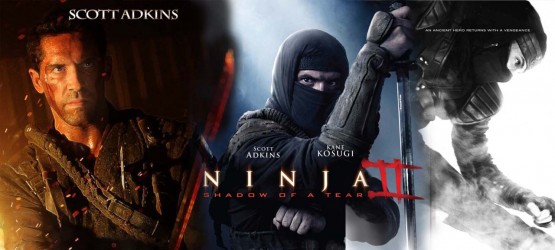 Ninja Shadow of a Tear (2013)