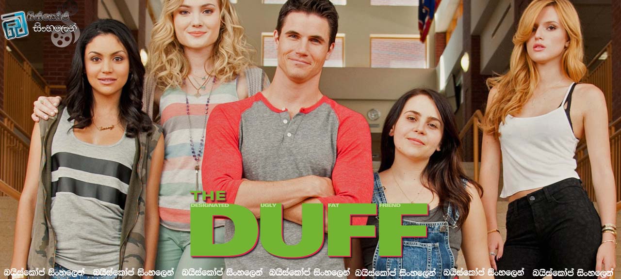 The Duff 2015