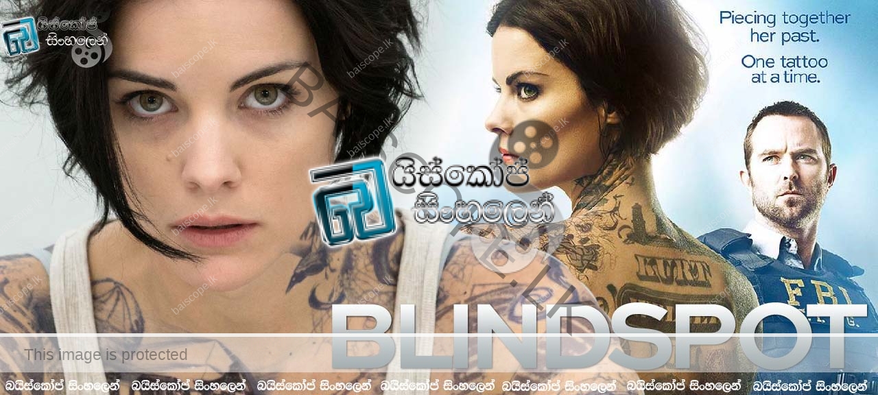Blindspot (2015) TV-2