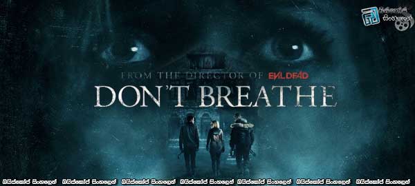 Don't Breathe (2016)