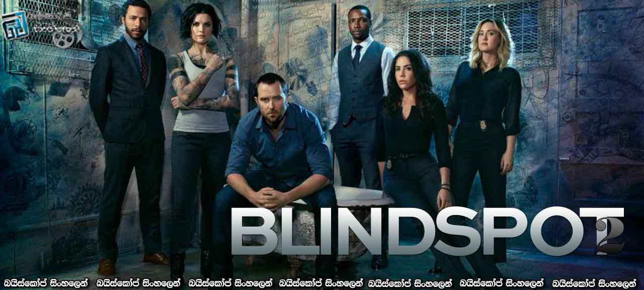 Blindspot S2-1