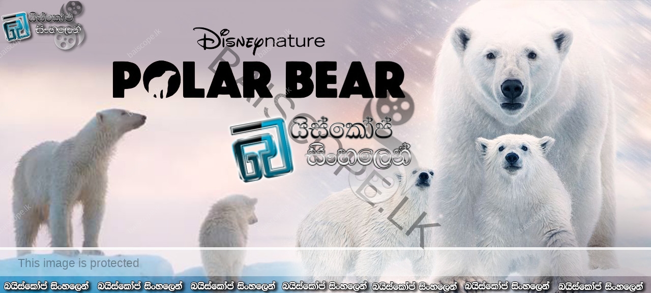 Polar Bear (2022) Sinhala Subtitles