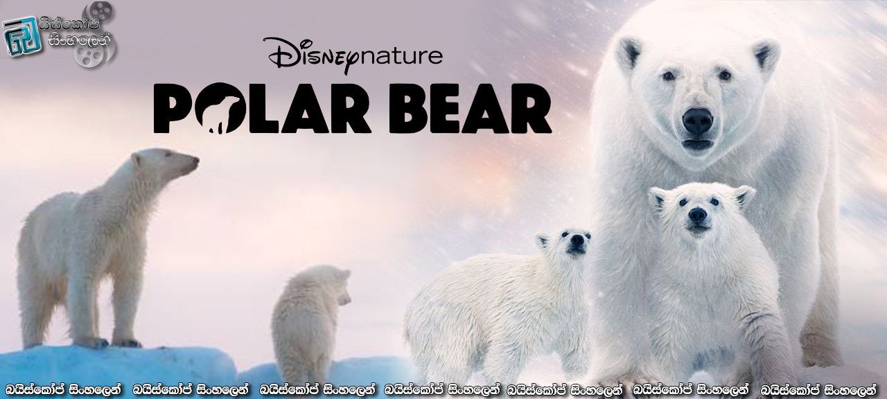 Polar Bear (2022) Sinhala Subtitles