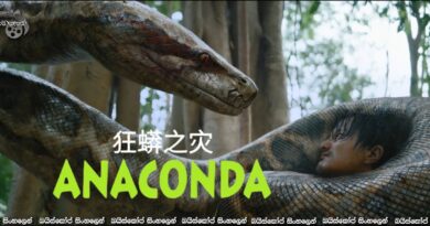 Anaconda