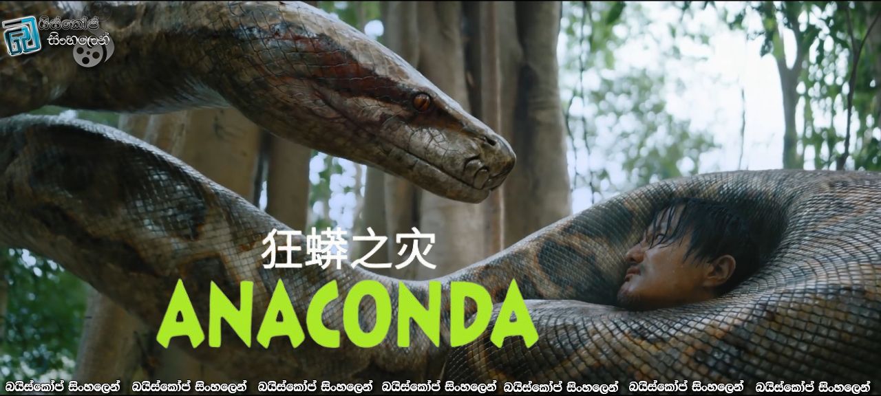 Anaconda